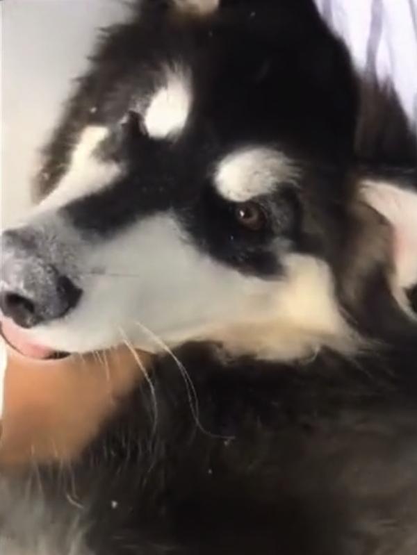 hth·华体(中国区)官方网站