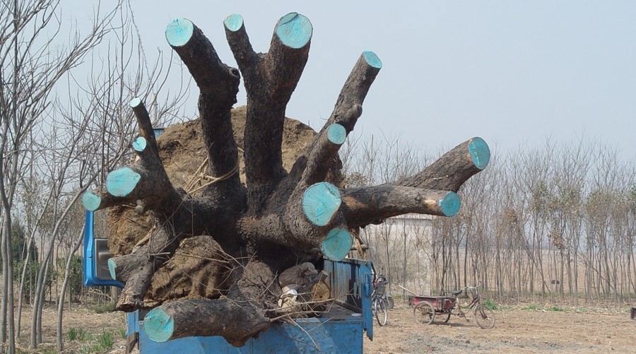 hth·华体(中国区)官方网站