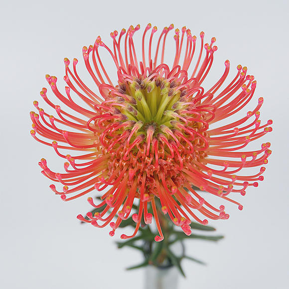 【hth官方网站】九日(图2) hth官方网站