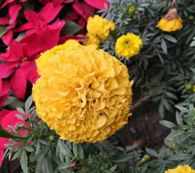 hth·华体(中国区)官方网站:北京住总在城市副中心指挥部建设“超低能耗被动房”展示中心(图4) hth·华体网站