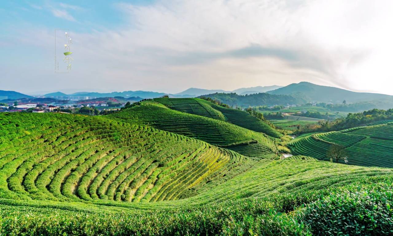 登圣善寺阁(一题作登少室山):hth官方网站(图1) hth·华体(中国区)官方网站