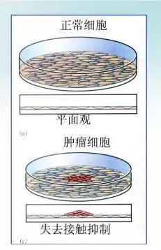 “hth·华体(中国区)官方网站”
人的发展历程是适应社会要求的历程(图3) hth·华体(中国区)官方网站