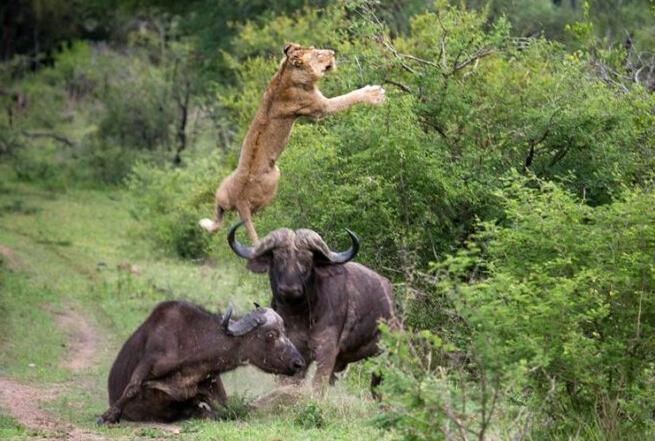 “hth官方网站”湖北省水利水电科学研究院水资源所开展“讲规矩 有纪律” 专题学习讨论(图2) hth官方网站