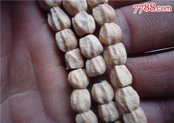 hth·华体(中国区)官方网站