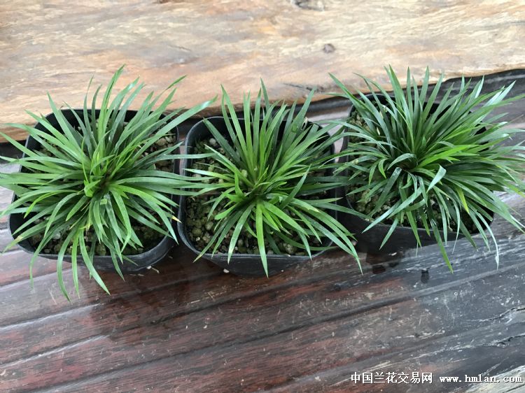 hth·华体(中国区)官方网站