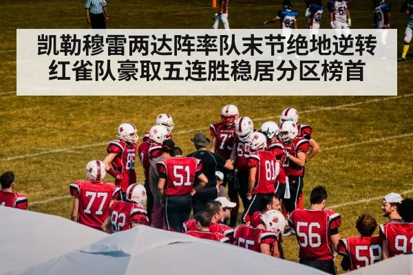 american football coach strategy board